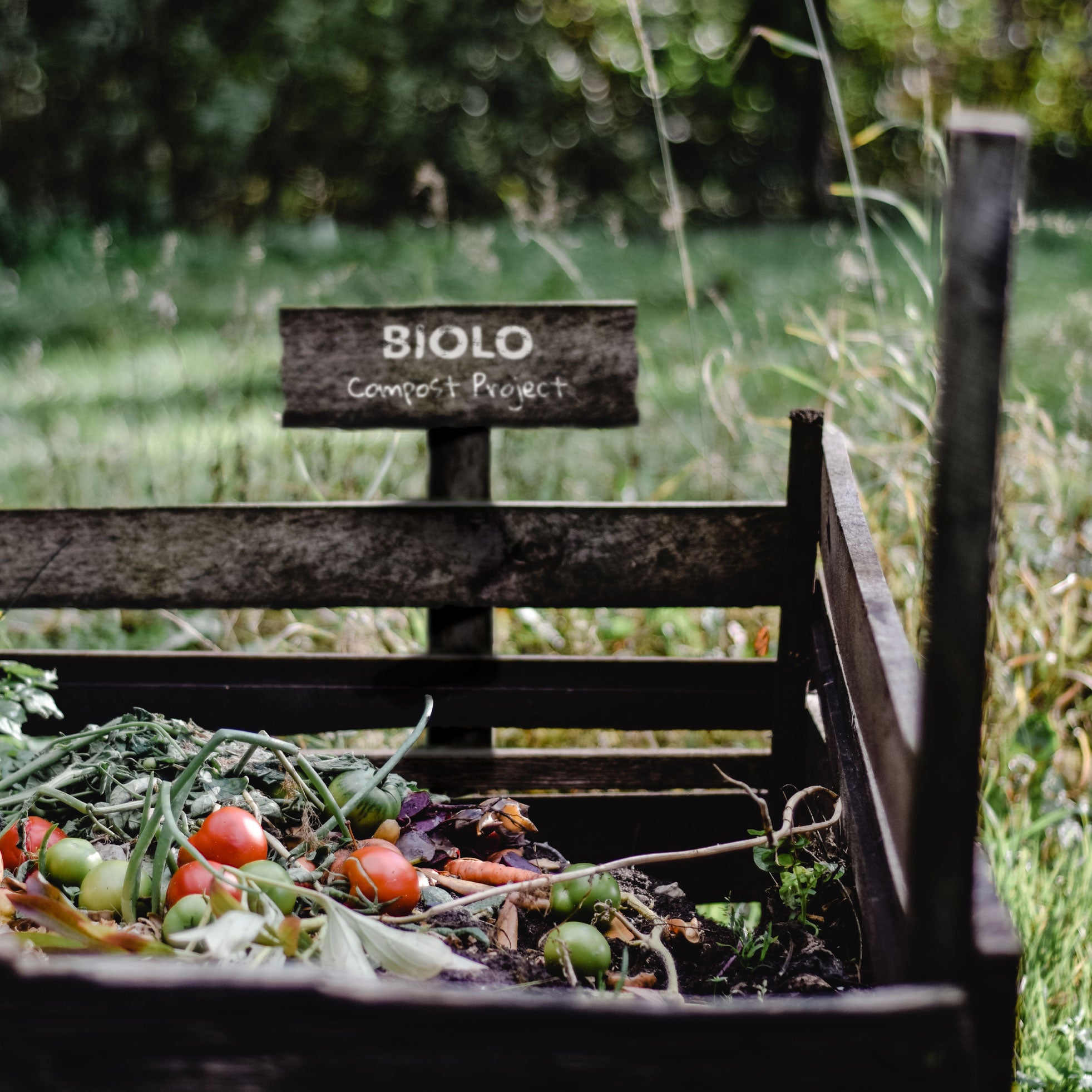 How To Make A Home Compost - What To Put And What Not To – Biolo